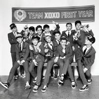 EXO˧ĸͷ