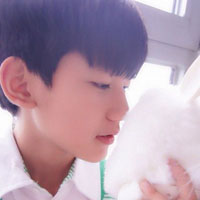 tfboysкͷ