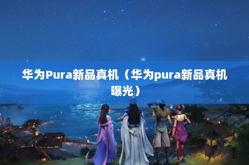 ΪPuraƷΪpuraƷع⣩